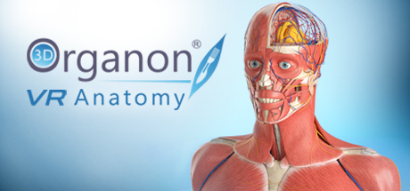 Oculus Quest 游戏《3D Organon VR Anatomy 2021》3D Organon VR 人体解剖学