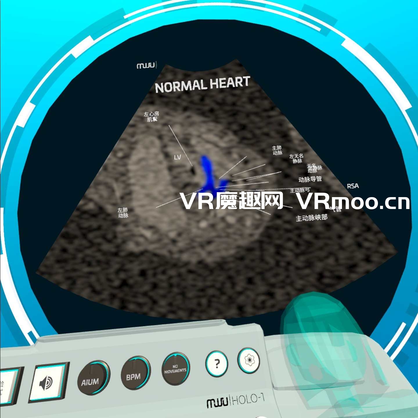 Oculus Quest 医学《Fetal Heart VR 汉化版》心脏病医学VR