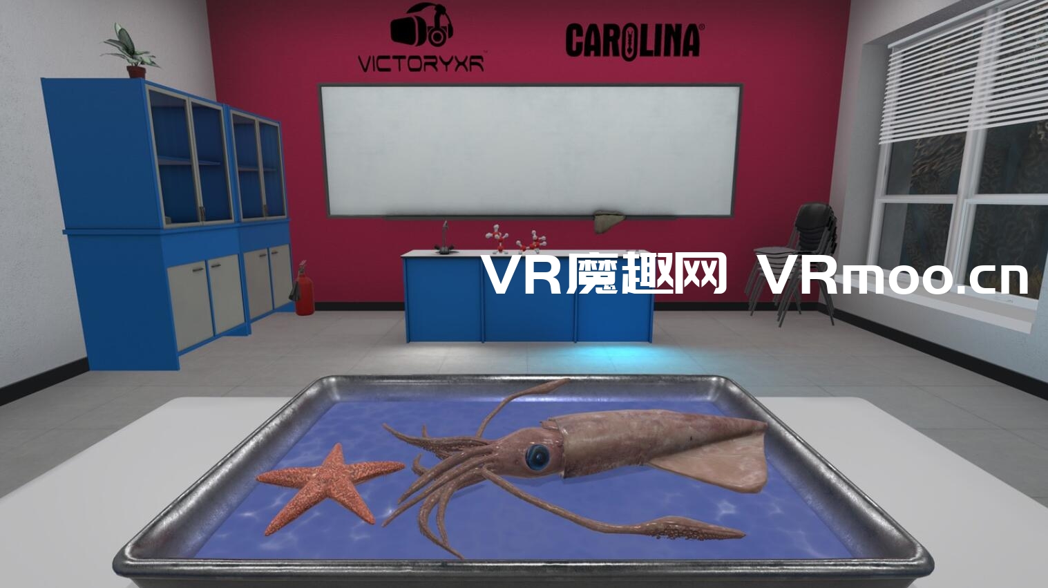 Oculus Quest 游戏《Dissection Simulator: Invertebrate Edition》解剖模拟器:无脊椎动物版