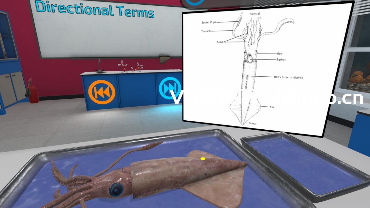 Oculus Quest 游戏《Dissection Simulator: Invertebrate Edition》解剖模拟器:无脊椎动物版