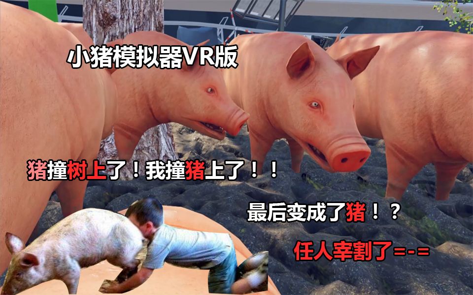 小猪模拟器(pig simulator VR)