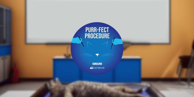 Oculus Quest游戏《Dissection Simulator – Cat Edition》解剖猫科动物