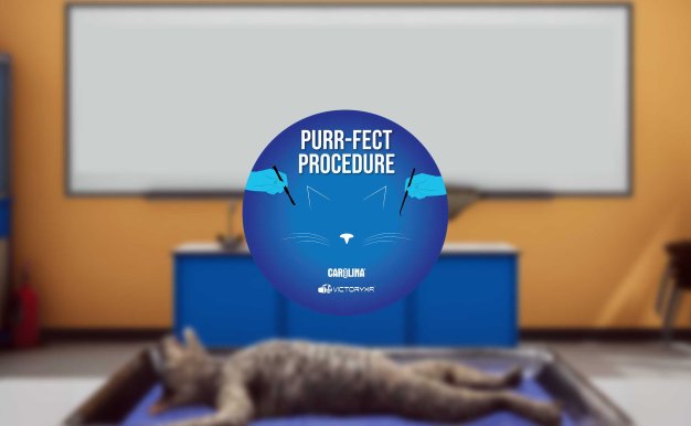 Oculus Quest游戏《Dissection Simulator – Cat Edition》解剖猫科动物