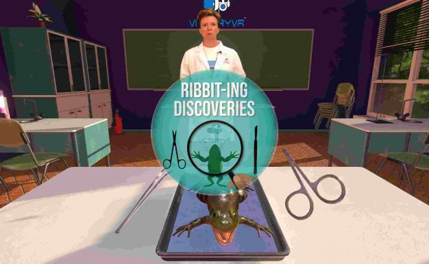 Oculus Quest 游戏《Dissection Simulator Frog Edition》解刨学:解剖青蛙