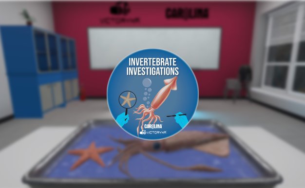 Oculus Quest游戏《VR Squid and Seastar Dissection》解剖无脊椎动物